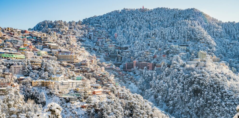 pexels-shalenderkumar-3574440